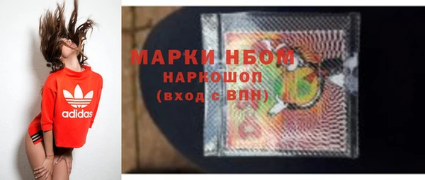 хмурый Горняк