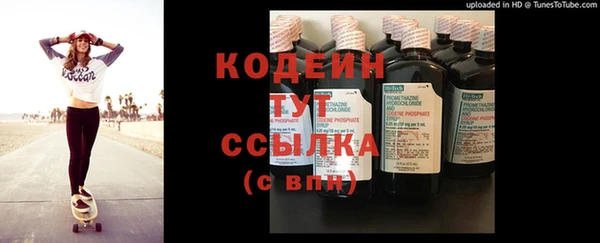 хмурый Горняк