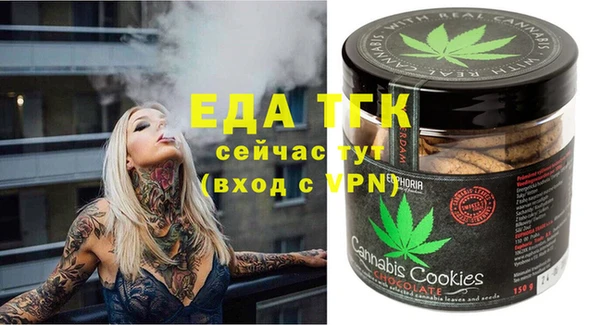 хмурый Горняк