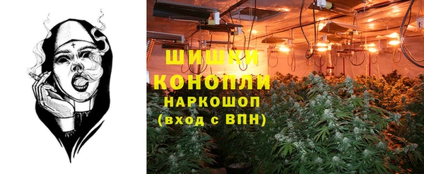 хмурый Горняк
